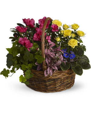 Bloominggardenbasket